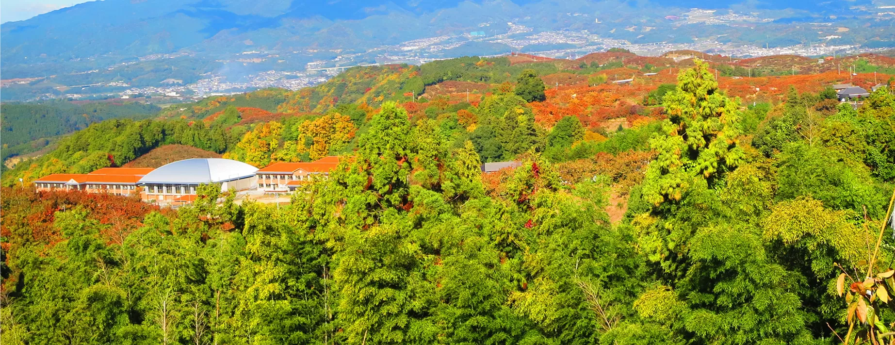 吉野山中、絶景の別世界へようこそ